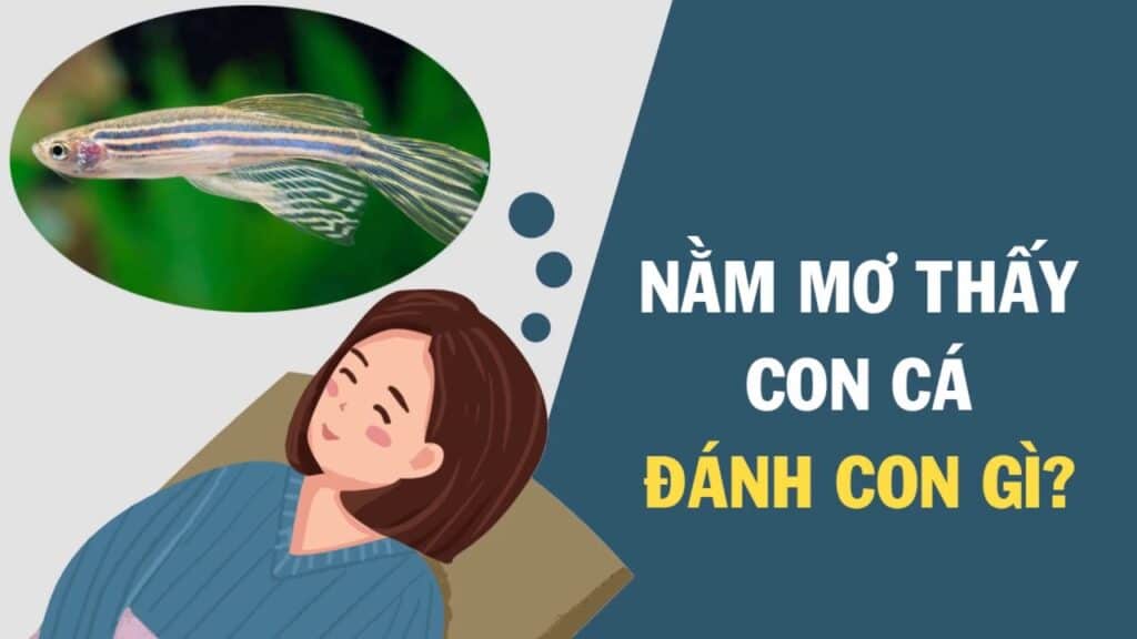 Mơ Thấy Cá Chép Đánh Con Gì Giải Mã Ý Nghĩa Chi Tiết